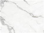 Carrara White